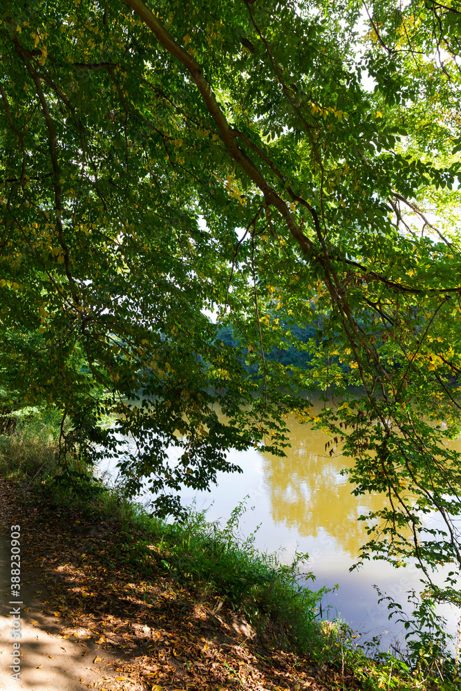 Colorful autumn Nature with old big Trees about River Sazava in Central Bohemia, Czech Republic Colorful autumn Nature with old big Trees about River Sazava in Central Bohemia, Czech Republic