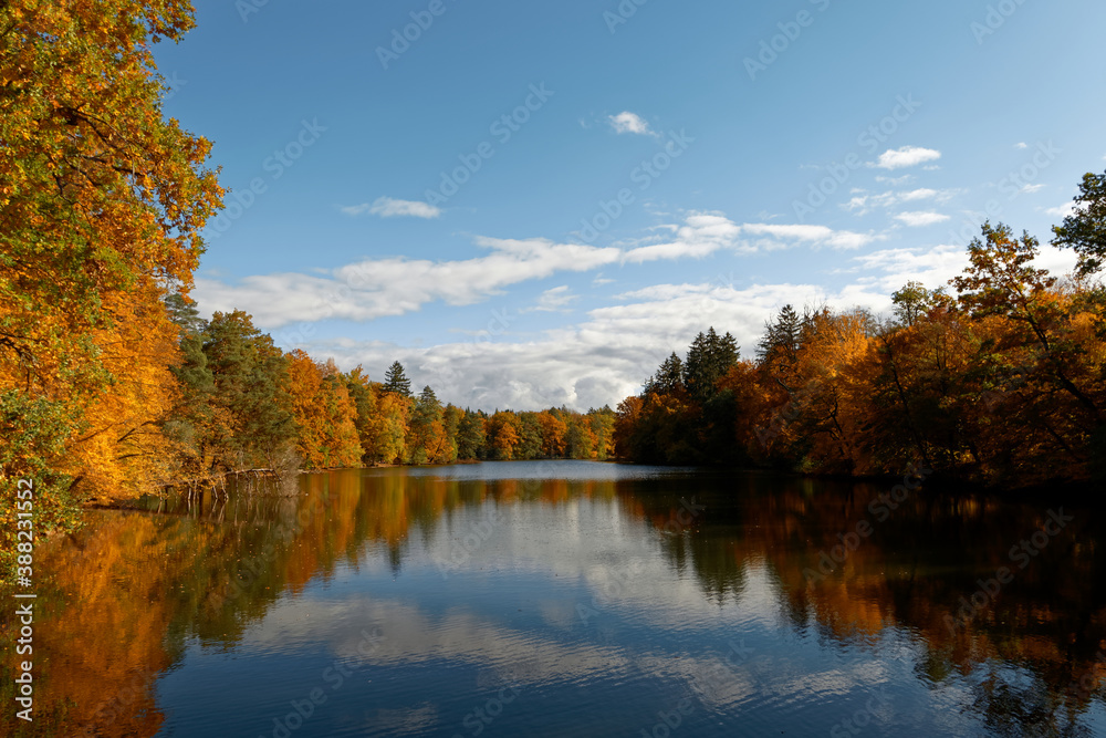 Goldener Herbst Pfaffensee / Bärensee Stuttgart. Sonniger Herbst Schöne Natur  