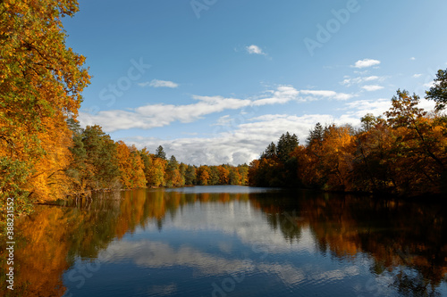 Goldener Herbst Pfaffensee / Bärensee Stuttgart. Sonniger Herbst Schöne Natur 