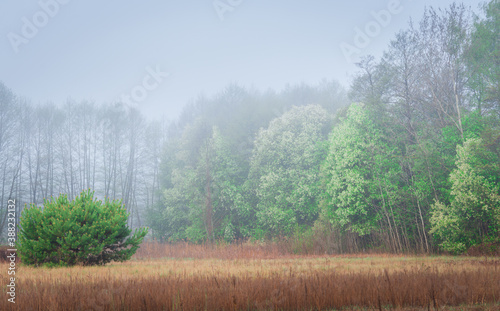 a springtime sunset over fields and meadows