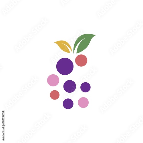 Grape fruits with leaf icon vector illustrtion