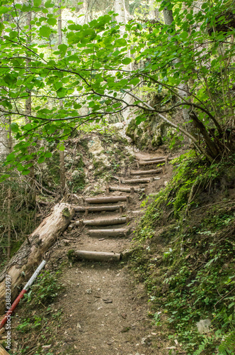 Beautiful views from a walk in the Bulgarian forests