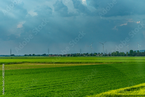 Germany, Countryside outskirts, a close up of a lush green field