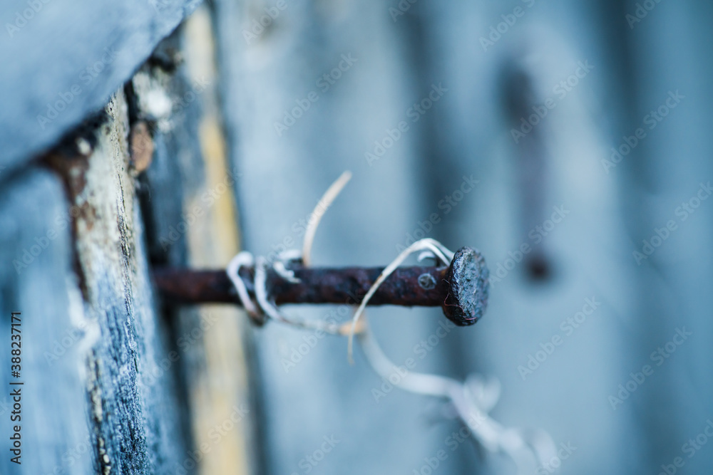 Rusty nail in the old wooden wall. Selective focus. Shallow depth of field. Rusty nail in the old wooden wall. Selective focus. Shallow depth of field.
