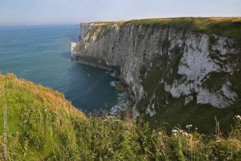 Bempton Cliffs