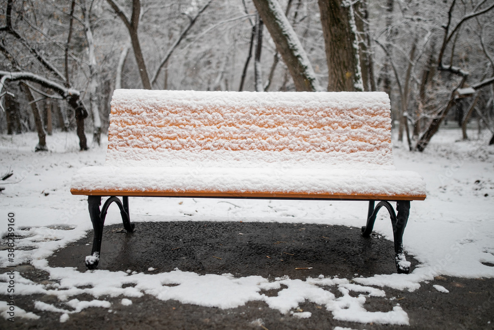 Bench under the snow in a city park, the first snow