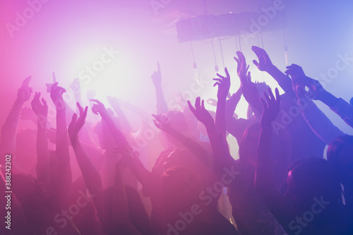 Photo of big group many people funky event stage dj concert neon bright pink spotlight modern club indoors