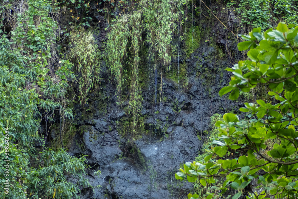 Tropical Waterfall at Anses des Cascades