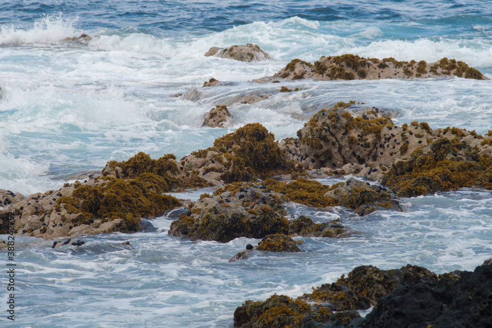 Rocks in the waves Rocks in the waves