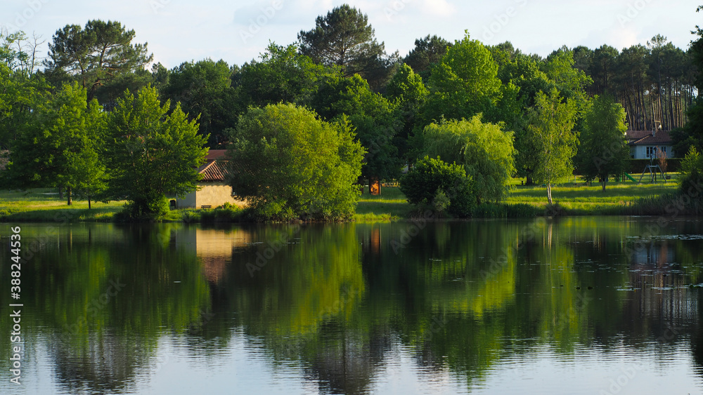 Cadre idyllique printanier aux abords d'un étang, dans un village des Landes de Gascogne