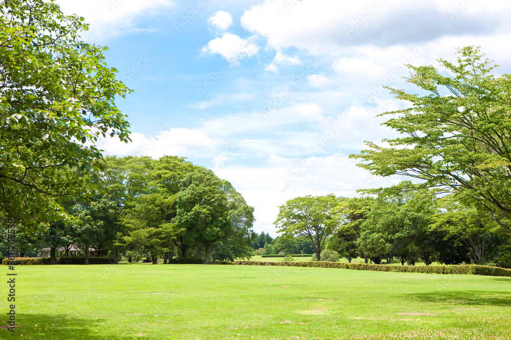 公園 公園