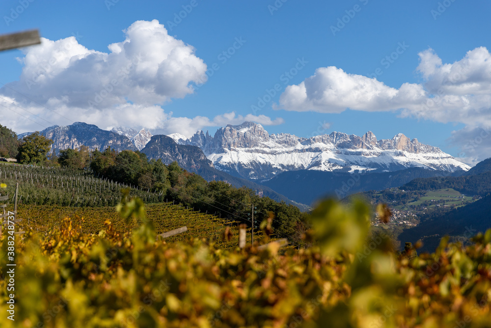 Fototapeta premium Dolomiti Rosengarten