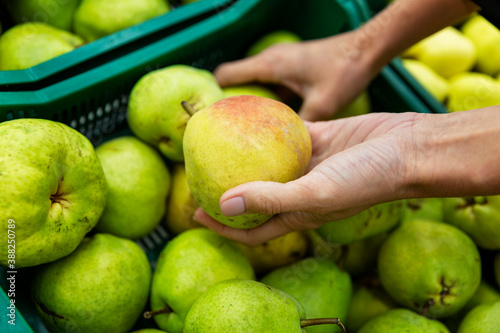 Ripe green pears in a box in the store. A woman chooses a fruit. Healthy food and vitamins. Close-up.