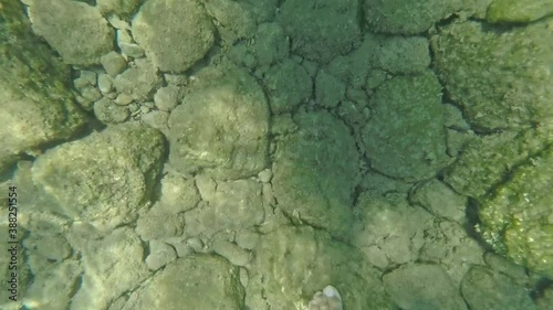 POV underwater footage of caucasian man, walking on rocky deep of sea 60fps, close up on feet photo