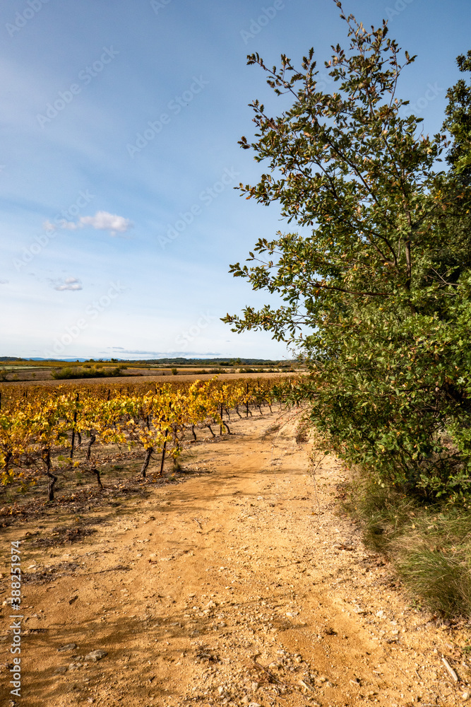Fototapeta premium countryside in autumn