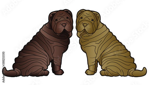 Vector illustration. Hand drawing art. Shar Pei dog. Cartoon character. Realistic design.