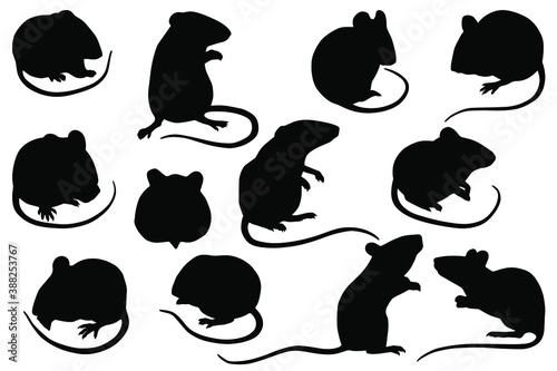 Hand drawn vector set of mouses silhouettes. Black and white stock illustration of cute mices.