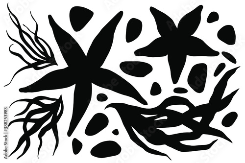 Hand drawn vector set of sea treasures black silhouettes. Stock illustration of starfishes, sea plants and stones.