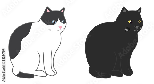 Black cat and black and white cat in a sitting. Vector illustration isolated on white background.