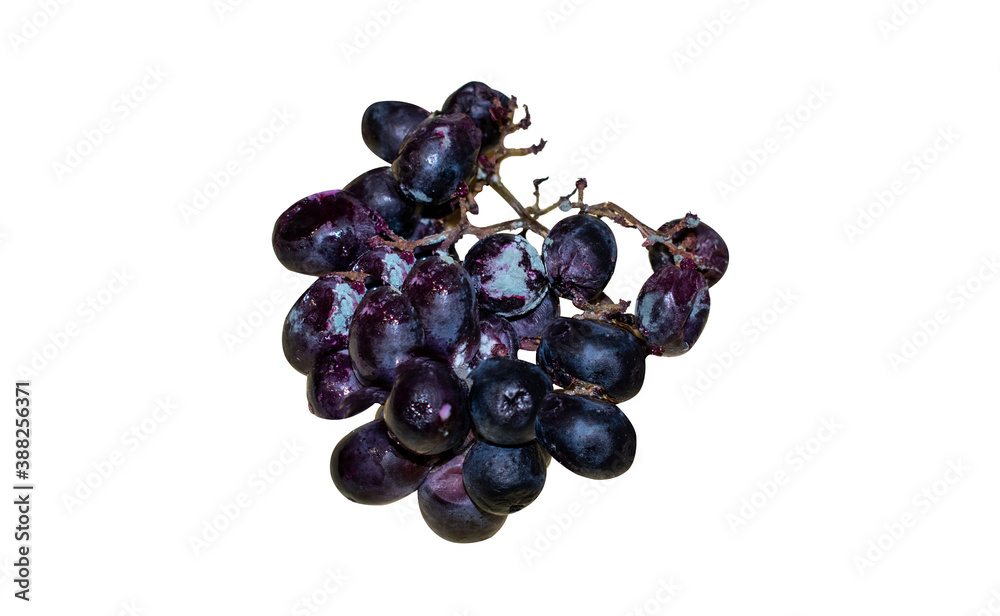 Decaying grapes isolated on a white background. A bunch of grapes with mold.