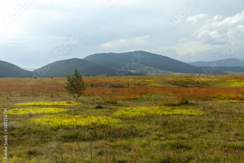 autumn mountain landscape