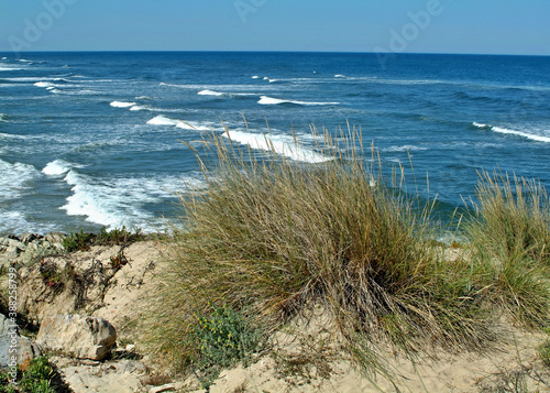 Fototapeta Naklejka Na Ścianę i Meble -  Dunes on Portugals west coast