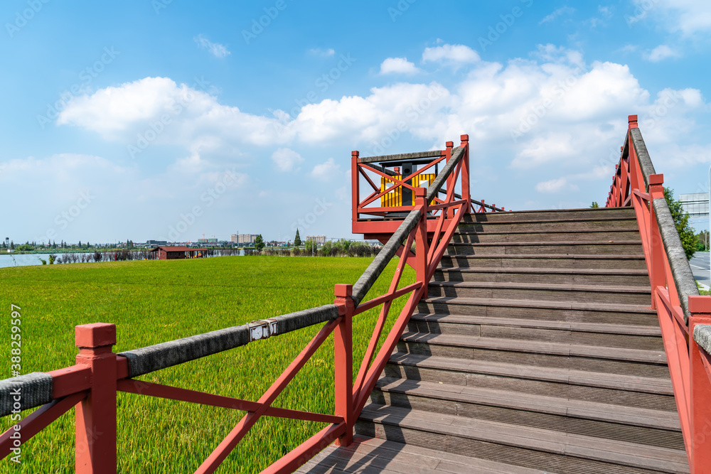 Rural garden wood viewing platform Rural garden wood viewing platform