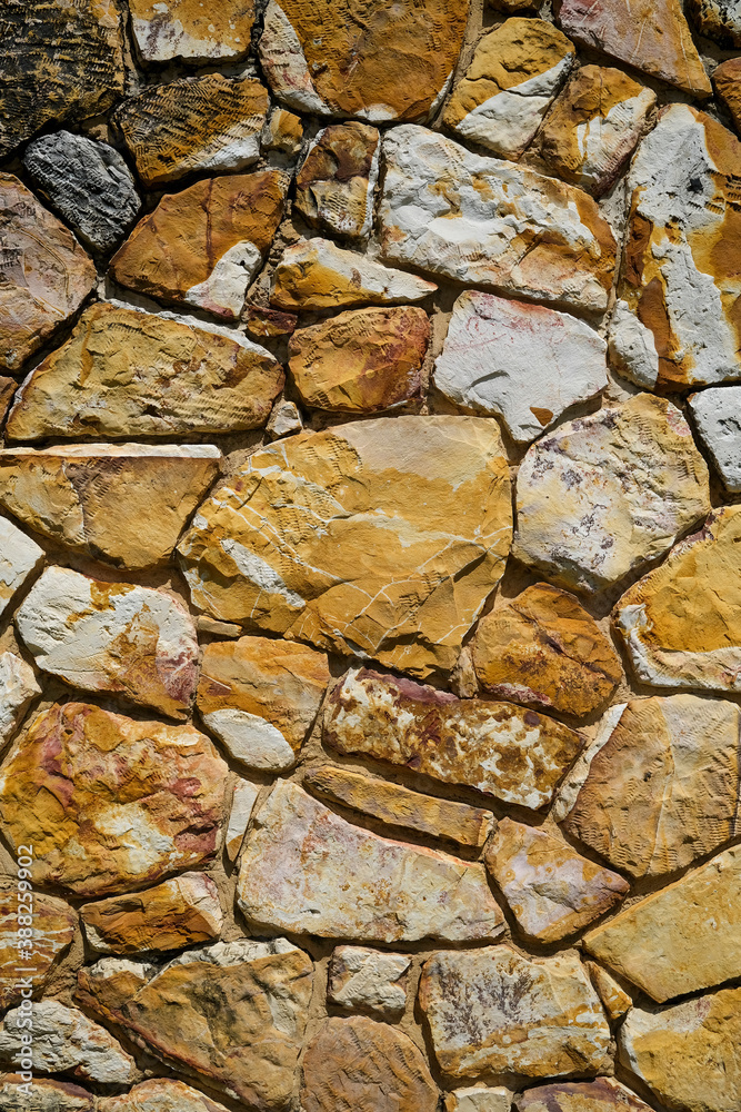Fototapeta premium rock wall texture close up