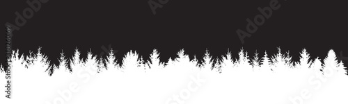 LISIÈRE DE FORÊT BLANCHE