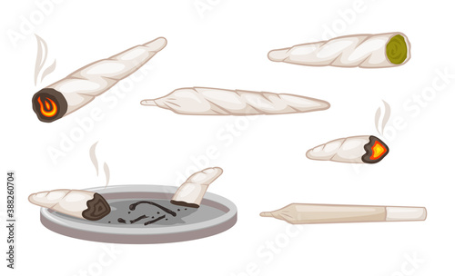 Marijuana shoals. Narcotic green hemp carefully wrapped in paper smoking only lit cigarette with ganja and almost smoked extinguished cigarette butts in ashtray hashish relaxation. Vector clipart.