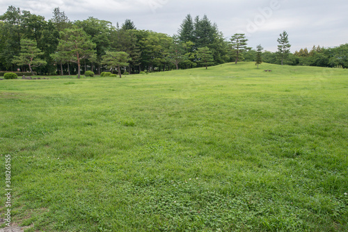 八幡原史跡公園の緑地