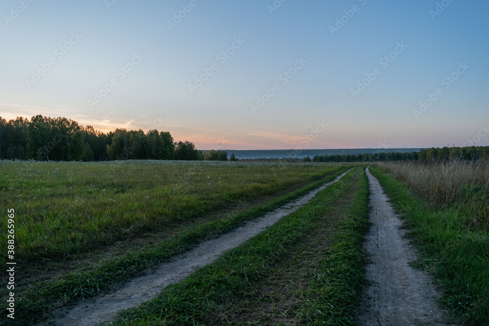 road, landscape, field, sky, nature, country, grass