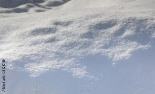 Abstract snowy background. Winter meadow sunny day. Snow texture with shadows gradient, macro view. Shallow depth of field.