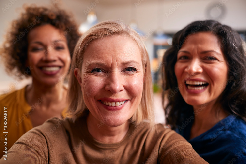 Group Of Mature Female Friends Posing For Selfie On Mobile Phone At Home Group Of Mature Female Friends Posing For Selfie On Mobile Phone At Home