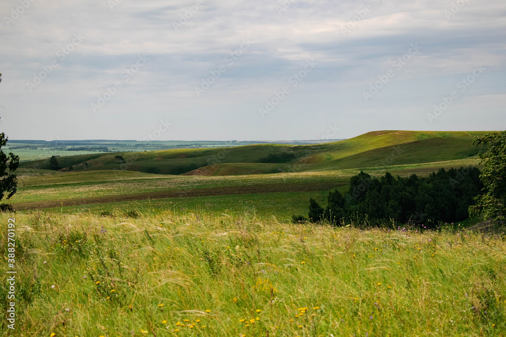 Obraz premium landscape