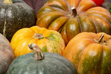 Background of a lot of colorful pumpkins