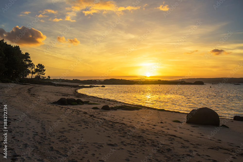 Obraz premium Golden sunset on the beach