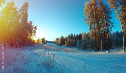 winter landscape .Winter scene © Fanfo