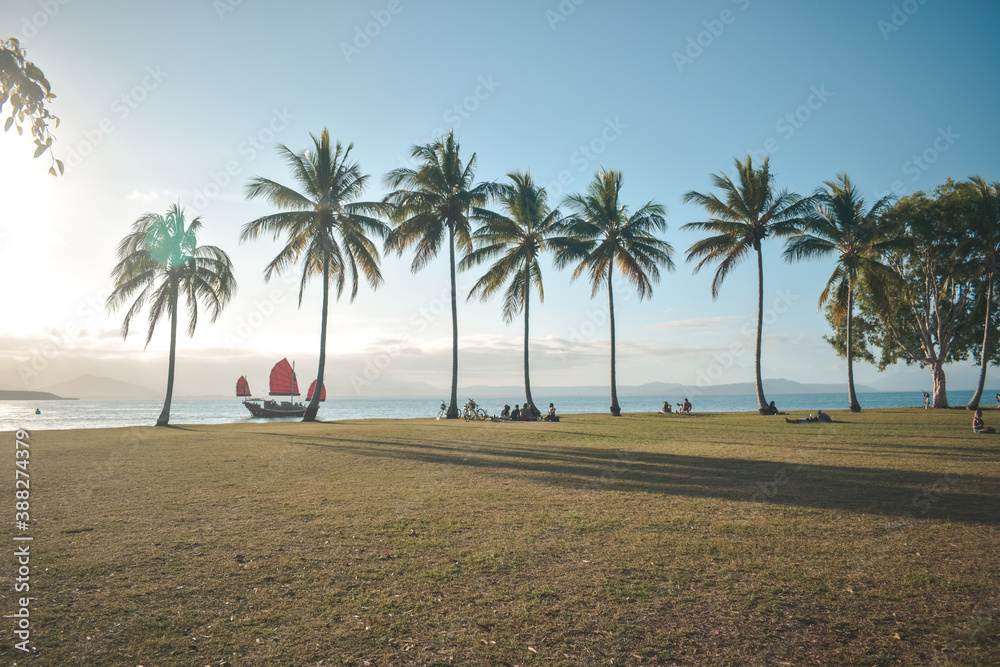 Obraz premium palms on the beach
