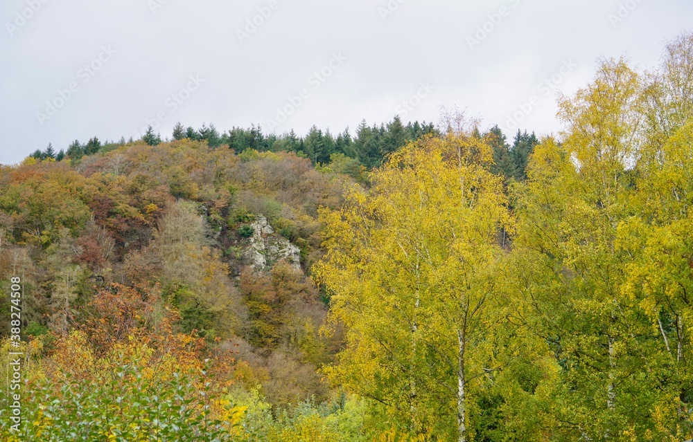 Herbst Landschaft