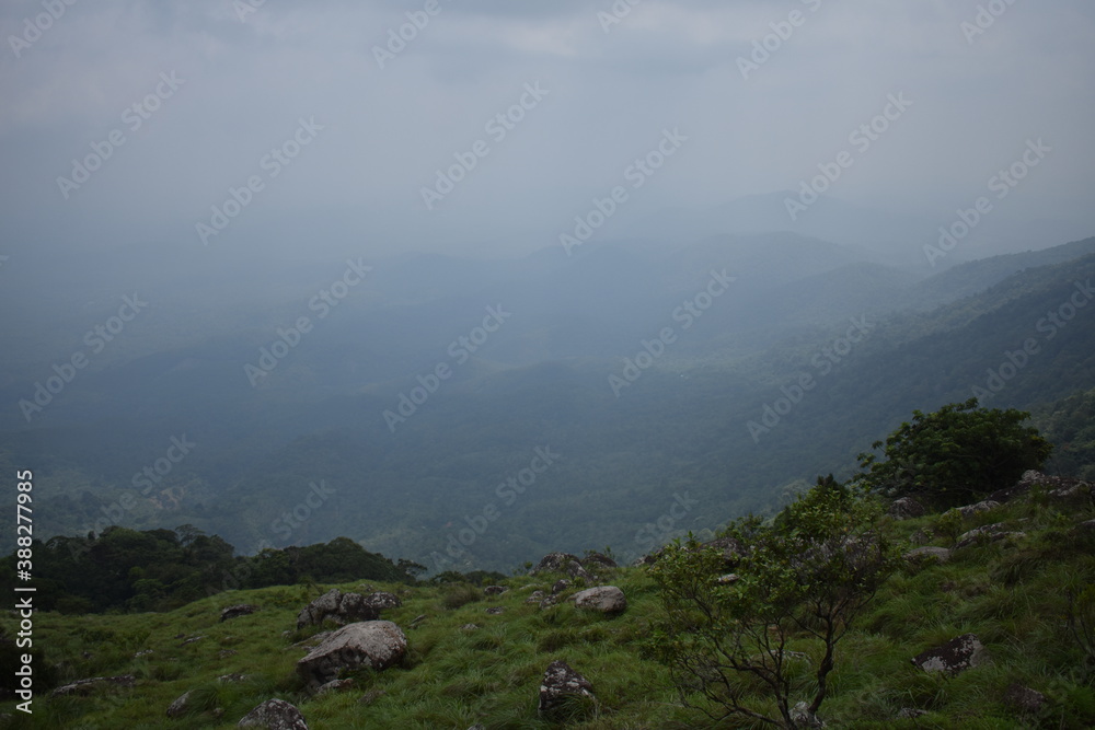 Fototapeta premium landscape with fog