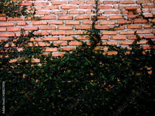 brick wall