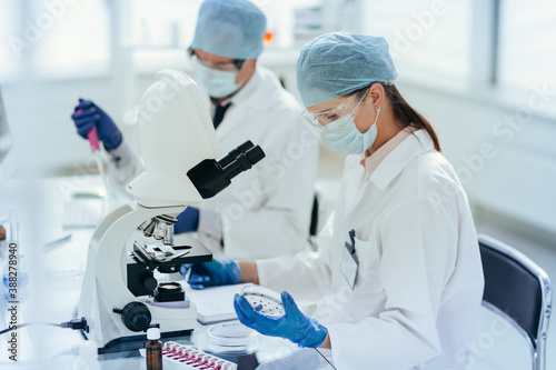 scientists investigating the development of bacteria in the laboratory .