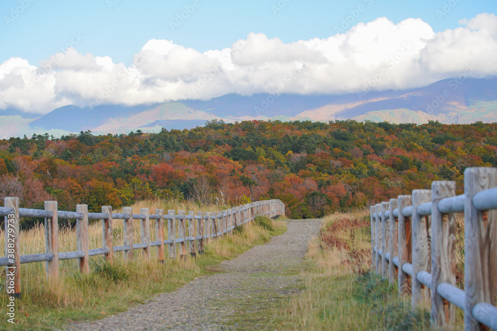 北海道「知床国立公園」の知床五湖、地上遊歩道の散策コースからの景色