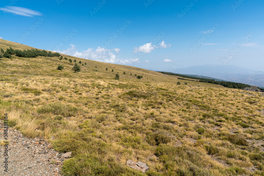 Side of a Sierra Nevada mountain