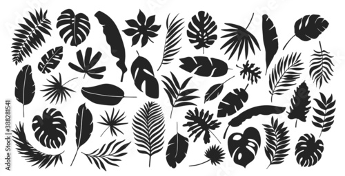 Vector Collection of Leaf Silhouettes © Ekaterina