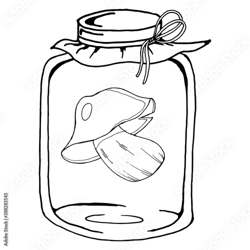 Pickled mushrooms in a glass jar. Vector illustration of a mushroom in a jar. Hand drawn mushrooms in the jar.