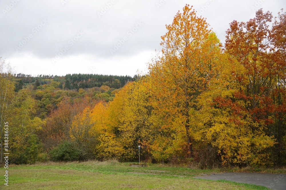 Obraz premium Herbst