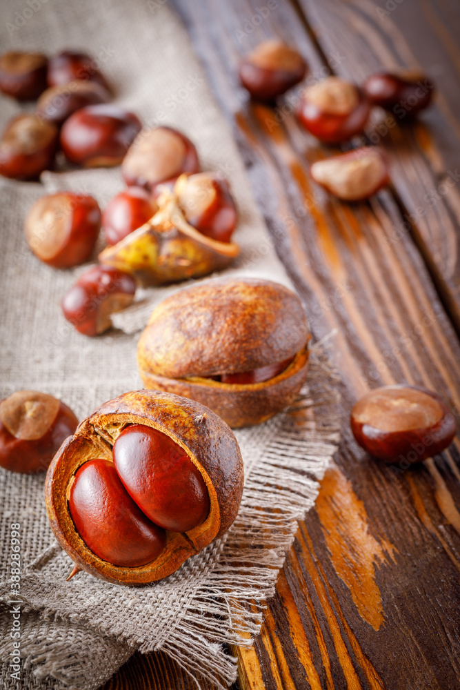autumn still life with horse chestnuts on wooden background autumn still life with horse chestnuts on wooden background