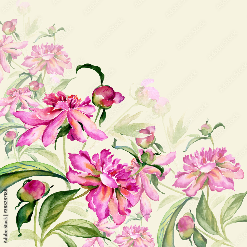  Floral background and Watercolor illustration of a bouquet of peonies with buds